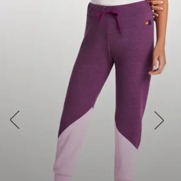 Aviator Nation Purple/ Pink Color Block Sweats size S - Picture 1 of 5
